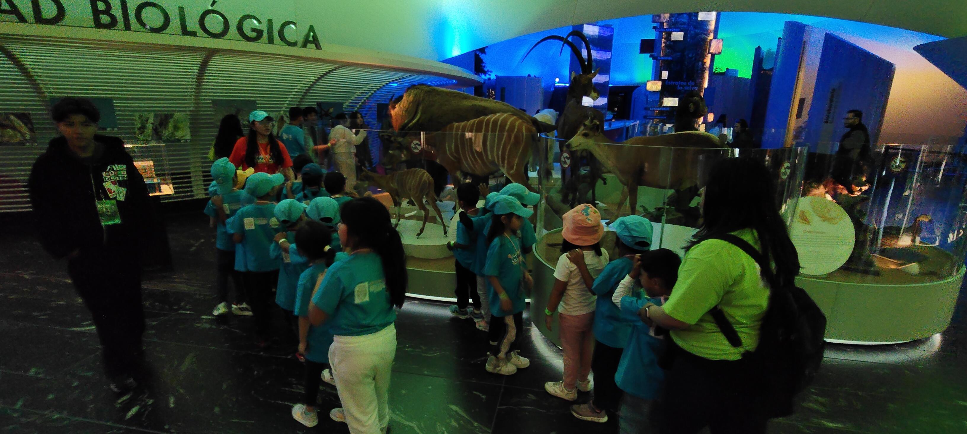 Curso de verano SNTISSSTE, Visita al Museo de Historia Natural